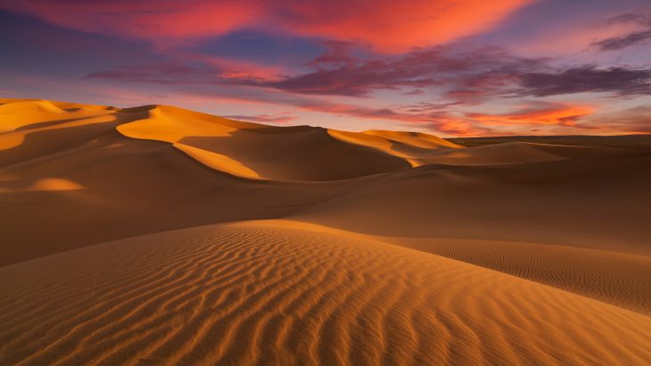 A massive dust plume from the Sahara desert has drifted 5,000 miles across the Atlantic Ocean and reached the Gulf Coast of the United States, covering the region in a thick haze.