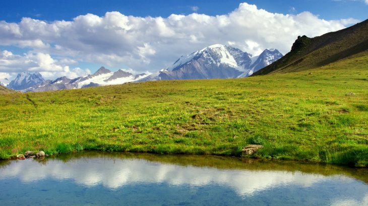 The restoration of mountain meadows helps bird populations and other wildlife thrive, according to a study led by scientists at Point Blue Conservation Science.