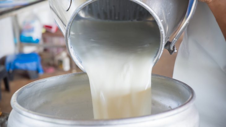 A new study from UC Davis has revealed that raw milk found in U.S. stores may be a source of antimicrobial resistance.