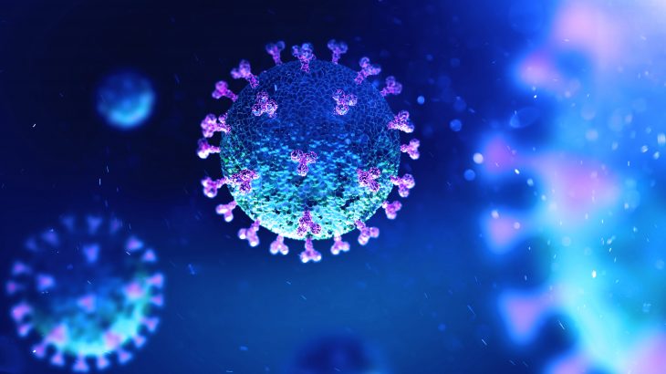 A small variation in the genetic structure of SARS-CoV-2 led to a more infectious type of the virus, which is now the most dominant strain circulating worldwide.