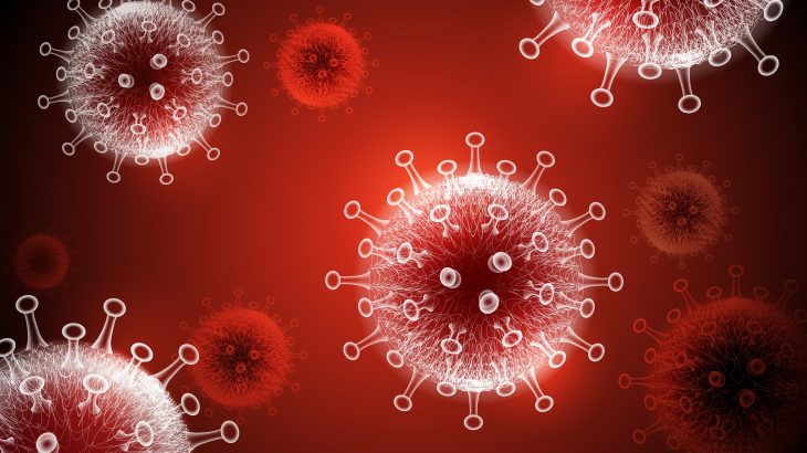 The experts found that SARS-CoV-2 infected individual heart cells in a lab dish.