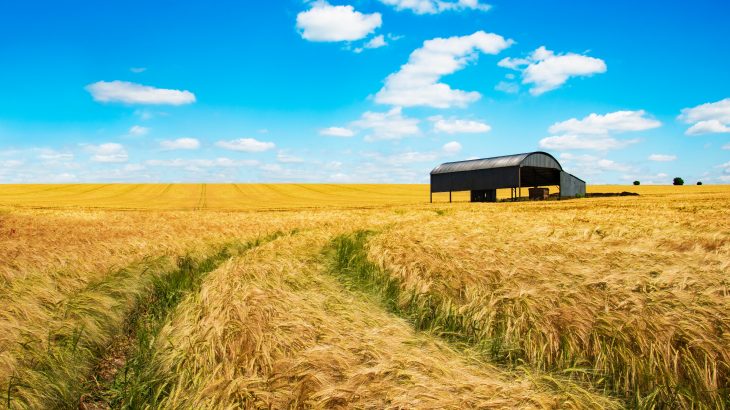 A new study predicts that the state will endure increasingly drier summers, potentially leading up to the worst drought conditions that Texas has seen in 1,000 years.