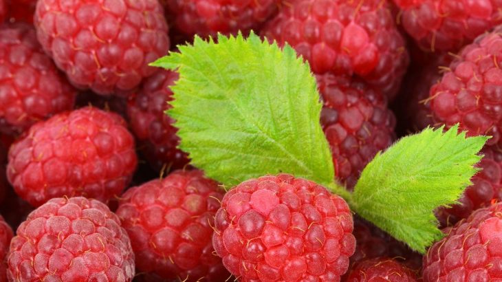 raspberries