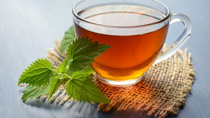 Nettle tea can be easily brewed from fresh or dried leaves.