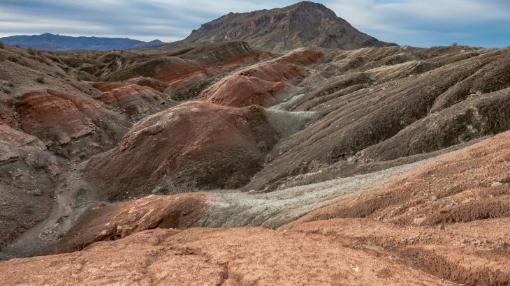 Scientists at the University of New South Wales (UNSW) are describing how tiny organisms on the surface of soils called biocrusts help conserve water in the world's driest regions.