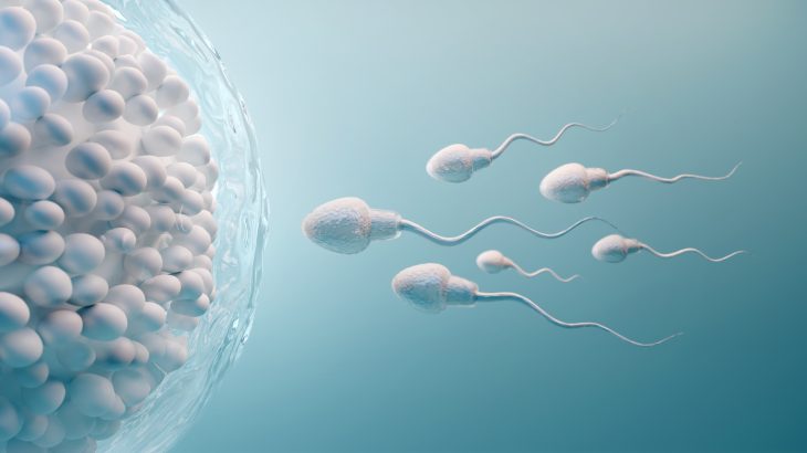 In a new study from the University of Bristol, scientists have made an unexpected discovery in how human sperm "swim."