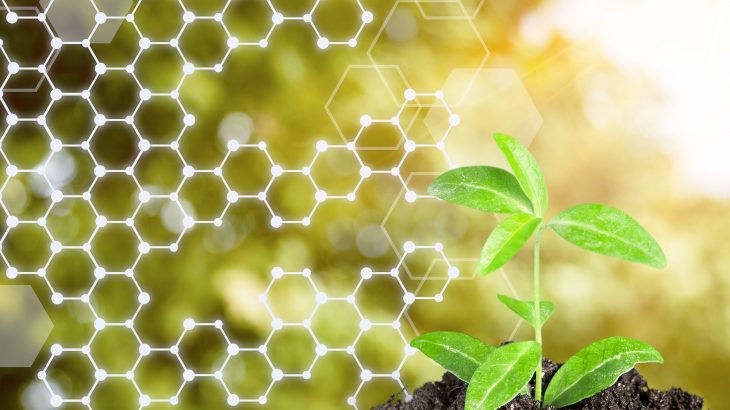 Plants have the remarkable ability to protect themselves against pathogens