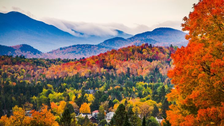 In a new study from Harvard University, experts have used hundreds of thousands of carbon observations to determine that climate change has increased the productivity of forests over the last quarter of a century.