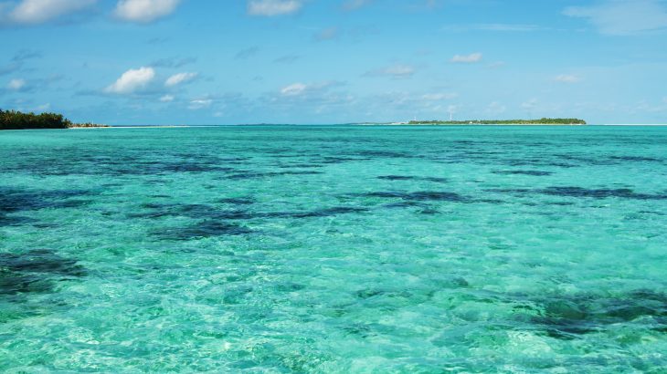 In a new study from the University of British Columbia, experts describe how the impacts of climate change on tropical fisheries could create a ripple effect that would be felt in other parts of the world.