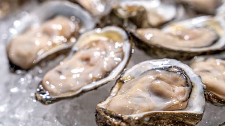 The research, led by the Royal Netherlands Institute for Sea Research (NIOZ), confirms what has been suspected since 2014: the oyster parasite is now present in the Dutch Wadden Sea.