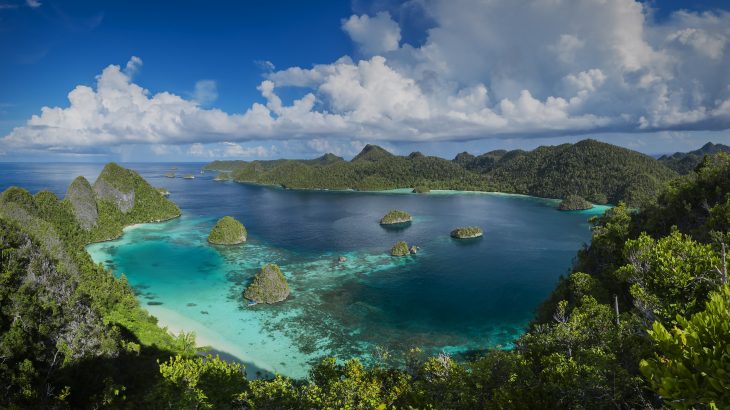 A new study has revealed that New Guinea has the most plant diversity of any island in the world.