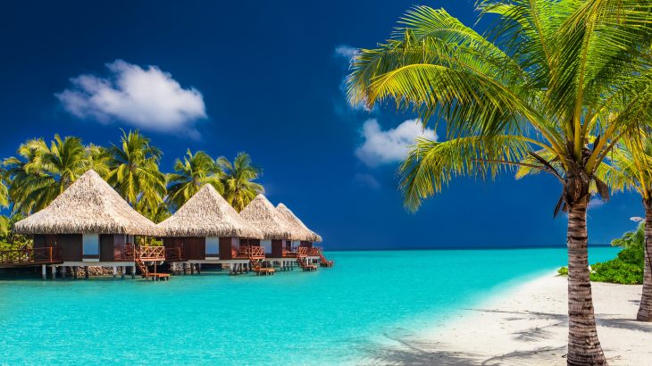 A new study from Flinders University has revealed that marine microplastic pollution in the ocean surrounding the Maldives is among the highest recorded anywhere in the world.