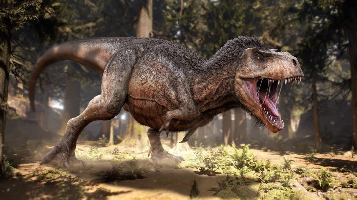 The experts have determined that flight potentially evolved three different times: twice in feathered dinosaurs and once early birds.