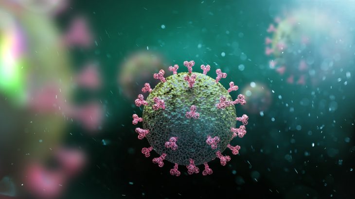 An abnormal family of proteins that can cause major neurodegenerative diseases in humans may help to facilitate SARS-CoV-2 infection, according to experts at Colorado State University