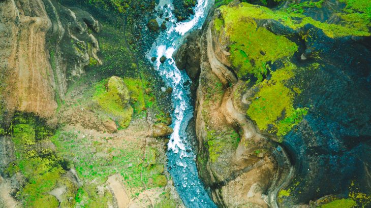 riparian ecosystems