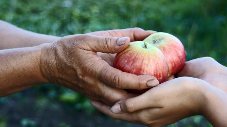 While it is known that the act of sharing produces health benefits for both the giver and the receiver, a new study suggests that generosity is far more rewarding than what has been recognized