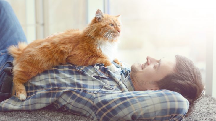 A new study from the University of Exeter has identified different types of cat owners, ranging from "freedom fighters" to wildlife advocates.