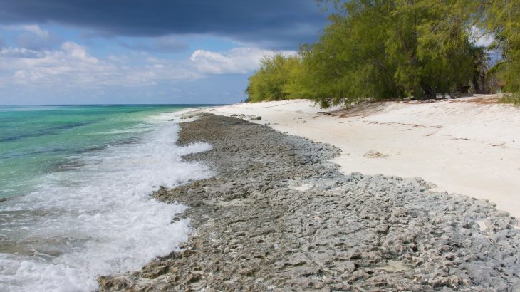 According to the research, to remove all of the plastic waste from the Aldabra Atoll, it would cost $4.68 million and require 18,000 hours of labor.
