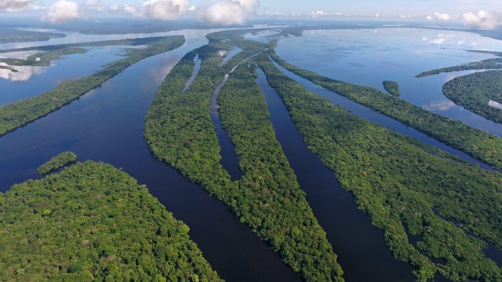 A new study from AAAS reveals that in the Brazilian Amazon, degradation has become more destructive than deforestation.