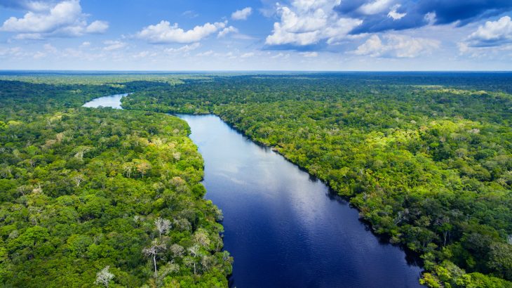 A study from the University of Copenhagen describes a new early-warning method for predicting droughts in the Amazon rainforest up to 18 months in advance.