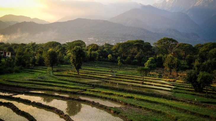 While volcanic activity and monsoon season may seem to be completely unrelated, the team reports that there is a strong coupling between the monsoon over large parts of South and Southeast Asia and El Niño events triggered by eruptions.