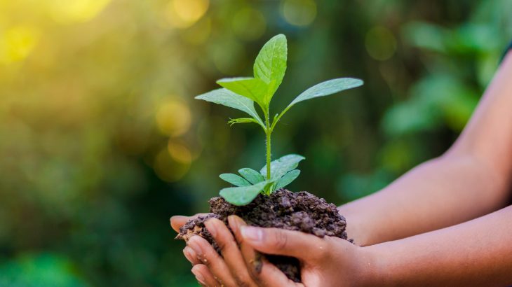 In a new study from the University of Queensland, experts describe how better conservation planning can improve the lives of humans while still protecting biodiversity.