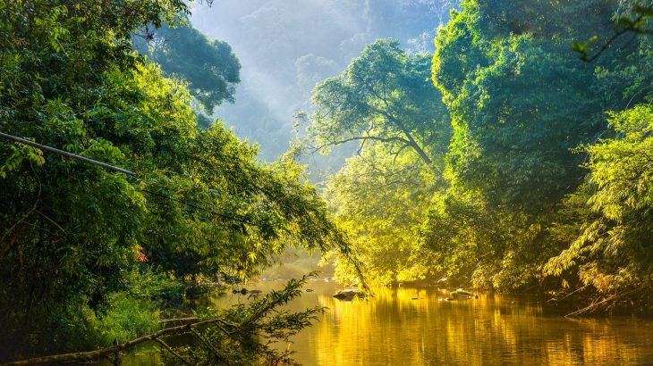 The Amazon is now closer to an irreversible tipping point than any other time in the last 100,000 years, according to Professor Mark Bush of the Florida Institute of Technology.