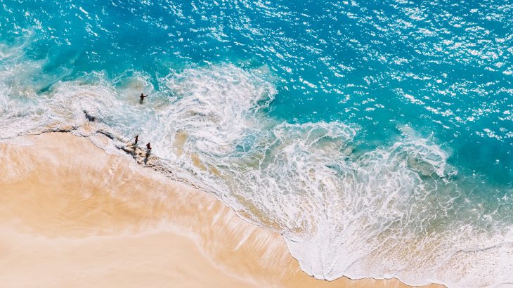 Extreme marine heatwaves like the 2015 Pacific "blob" are much more likely to occur now than before man-made global warming was initiated, according to a new study published by the American Association for the Advancement of Science.