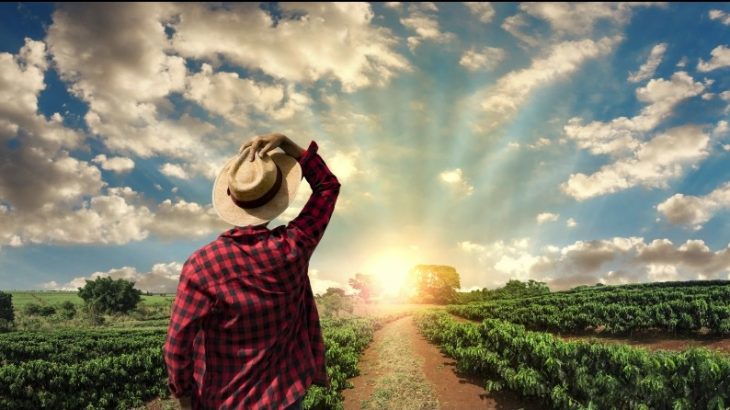 The scientists propose that combining the expertise of farmers with high-tech breeding could unleash the potential to make crops more resilient to climate change.