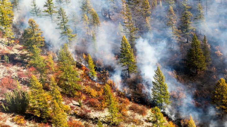 The dynamics of Arctic fires are changing, and there will be consequences for the global climate, according to a new study