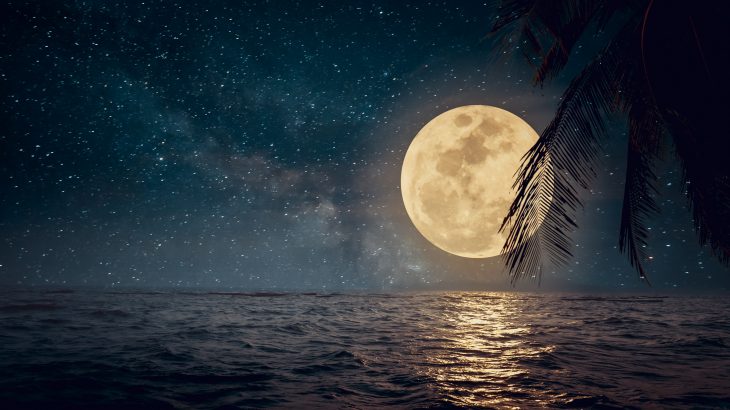 Global warming is not affecting days and nights in the same way, according to a new study from the University of Exeter.