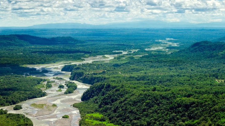 Shifting the focus of conservation efforts in the Amazon from terrestrial species to freshwater species would produce up to six times the benefits, according to a new study from the Lancaster University and the University of São Paulo