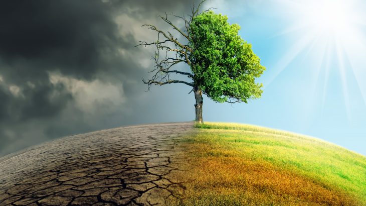 A new study published by Cell Press suggests that early humans were primarily driven to extinction as a result of their inability to adapt to the warming or cooling temperatures associated with climate change.