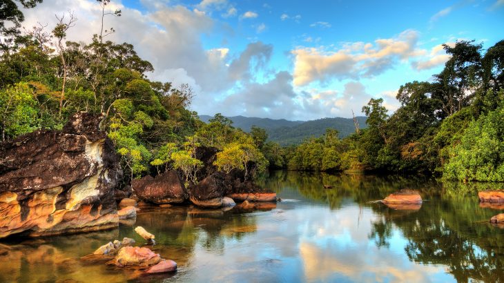 About 500 to 1,500 years ago, Madagascar lost nearly all of its megafauna, including giant tortoises, Dodo birds, lemurs the size of gorillas, and 10-foot-tall elephant birds that weighed half a ton.