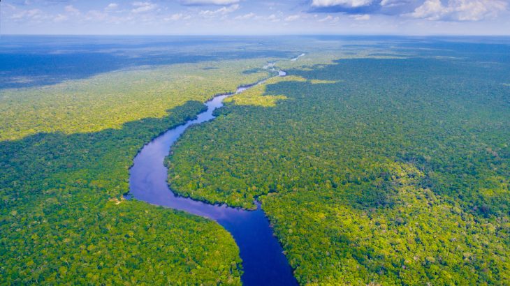A team of researchers led by Stanford University has found that access to affordable healthcare can make an incredible difference in helping to address deforestation