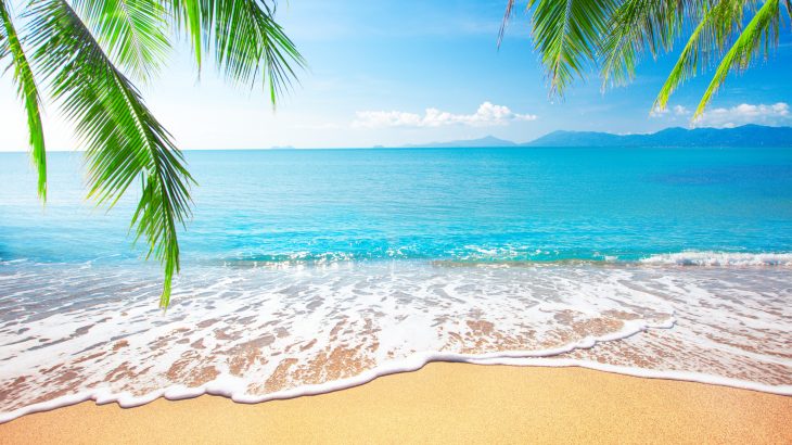 an international team of scientists led by the University of Plymouth has published a counter-argument in the same journal, explaining that there is potential for beaches to migrate landwards as sea level rises and shorelines retreat.