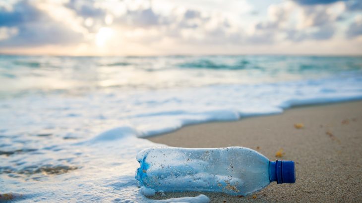 In a new article, Professor Shelie Miller of the University of Michigan has set out to debunk five common myths about the environmental impacts of single-use plastics.