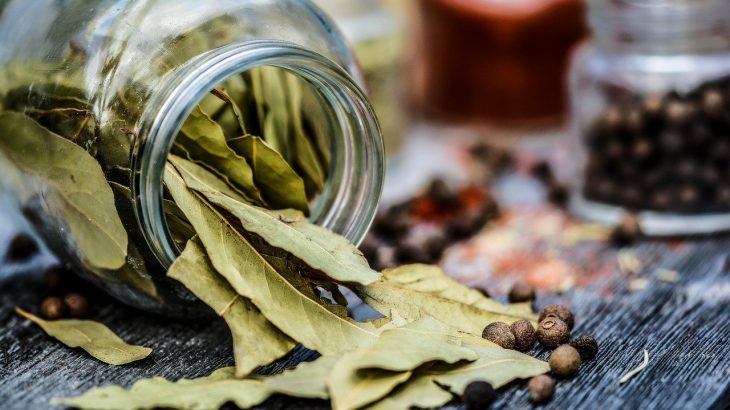 bay leaf benefits