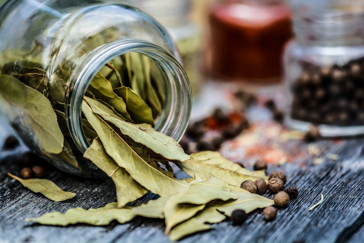 Top Bay Leaf Benefits • • Earthpedia