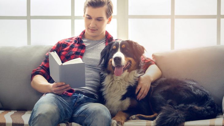 A team of researchers at the Eötvös Loránd University (ELTE) has demonstrated that dogs are sensitive to the preferences of humans, but usually follow their own desires