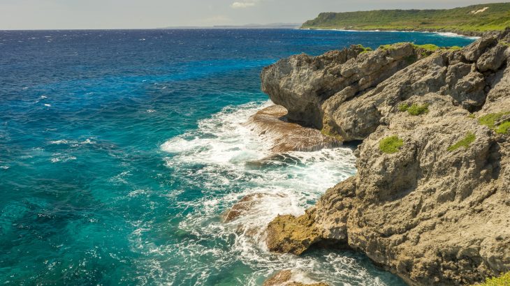Sinking fish carcasses carry toxic mercury pollution from the surface waters to the most remote parts of the ocean, including the 36,000-foot-deep Mariana Trench