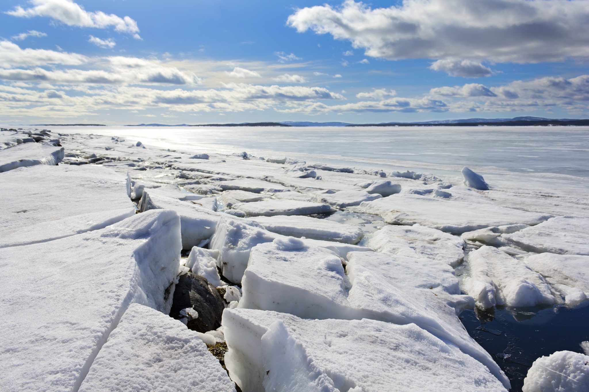 Phytoplankton remain surprisingly active underneath Arctic sea ice