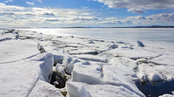 In a study published by Frontiers, scientists have discovered new clues about the magnitude of phytoplankton blooms under Arctic sea ice.