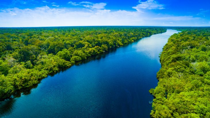 A new study from Columbia University School of Engineering and Applied Science suggests that tropical forests will be more adaptable to climate change than expected, and some regions of the Amazon could even thrive in warmer and drier conditions.
