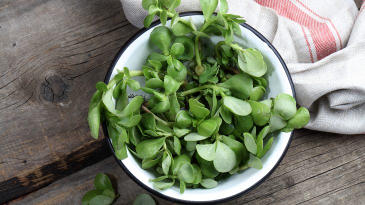 purslane benefits