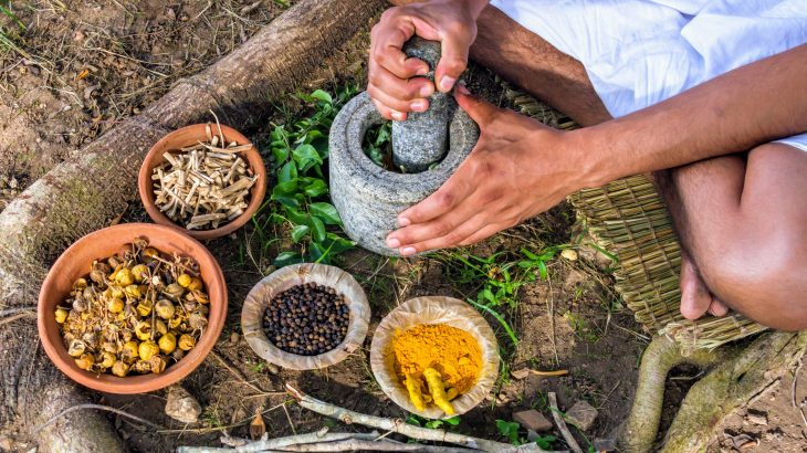 By gaining a better understanding of traditional Chinese medicine, conservationists will be more capable of protecting endangered animals like rhinos and tigers