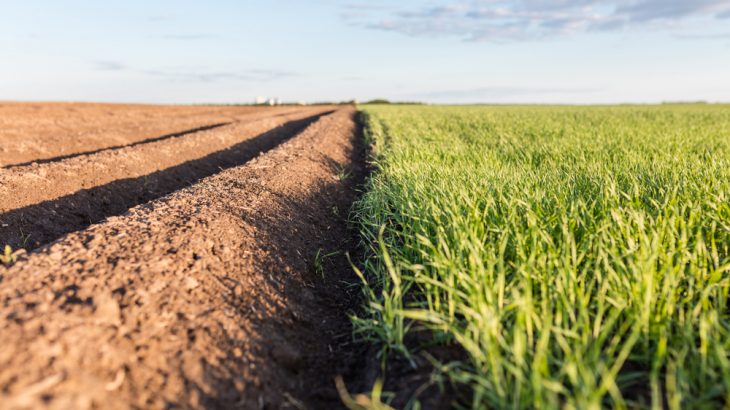 arable land importance
