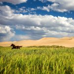 An abrupt shift in the climate over inner East Asia may lead to a tipping point that pushes Mongolia into a permanently dry and barren region.