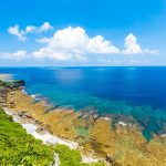 In Japanese waters of the Northwest Pacific, researchers have discovered a new species of the rare phylum Loricifera.