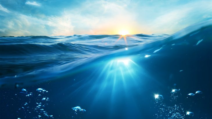 In a new study from the University of Rhode Island, scientists have discovered single-celled microorganisms that live in boiling hot deep sea sediments.